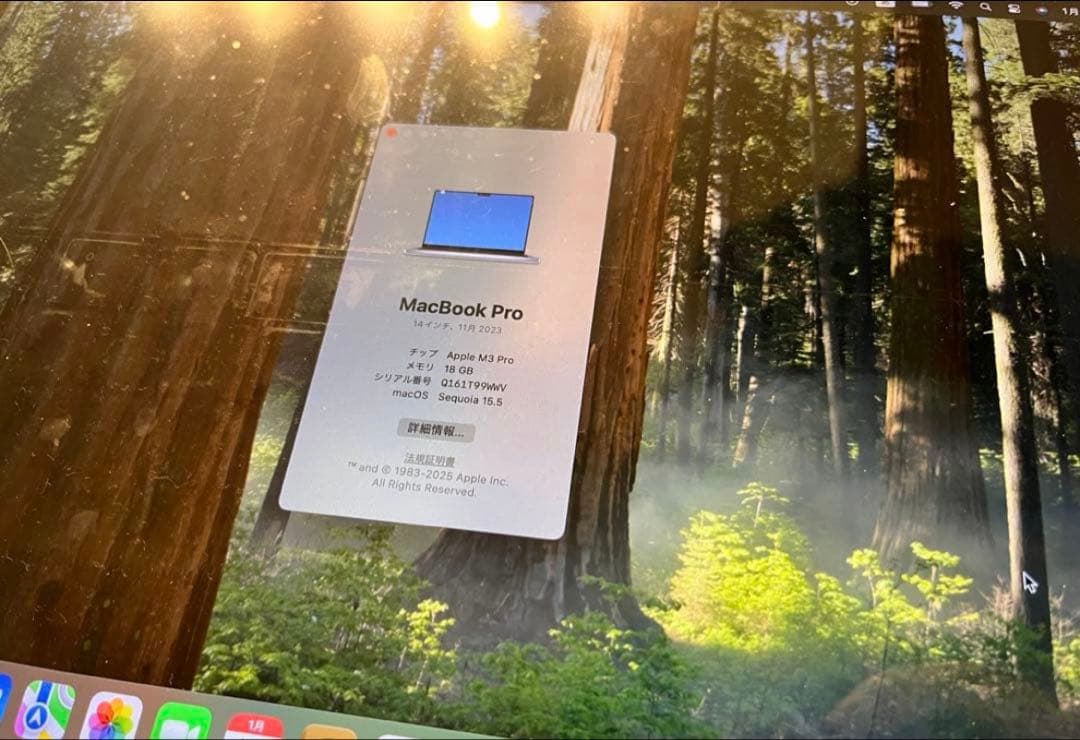 MacBook Pro M3 Pro 14インチ 18GB 1TB