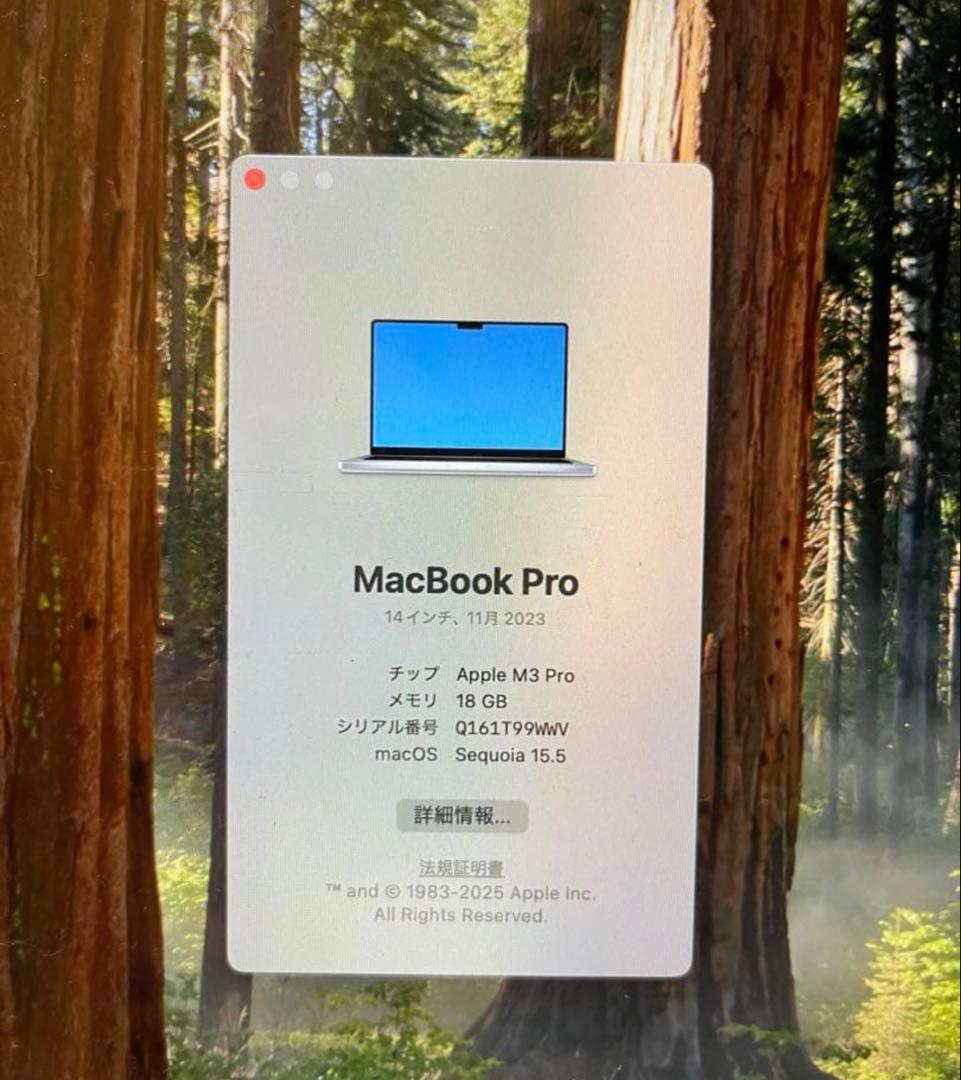 MacBook Pro M3 Pro 14インチ 18GB 1TB