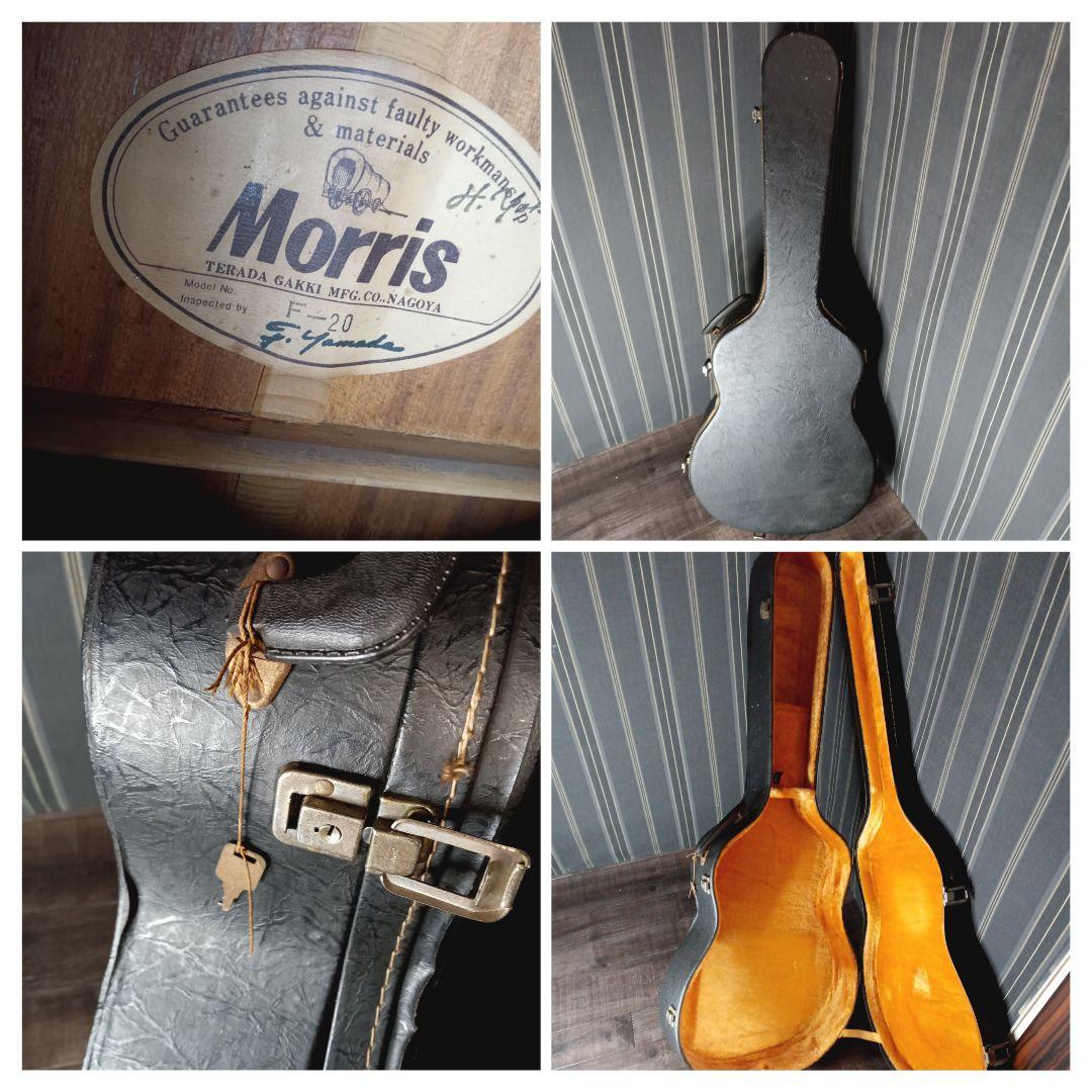 常田大希使用モデル morrisアコギ F-20 ギター KingGnu