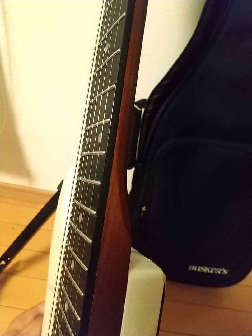 BUSKERS / BST-standard GWT/訳あり最新版 調整済