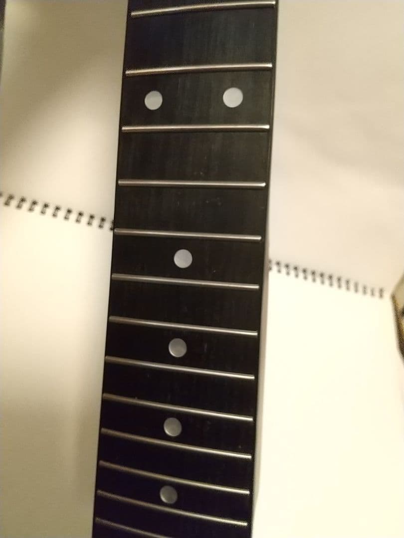 BUSKERS / BST-standard GWT/訳あり最新版 調整済