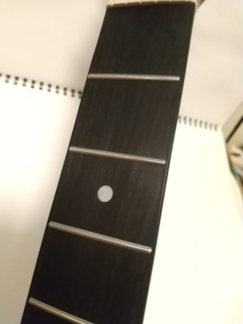 BUSKERS / BST-standard GWT/訳あり最新版 調整済