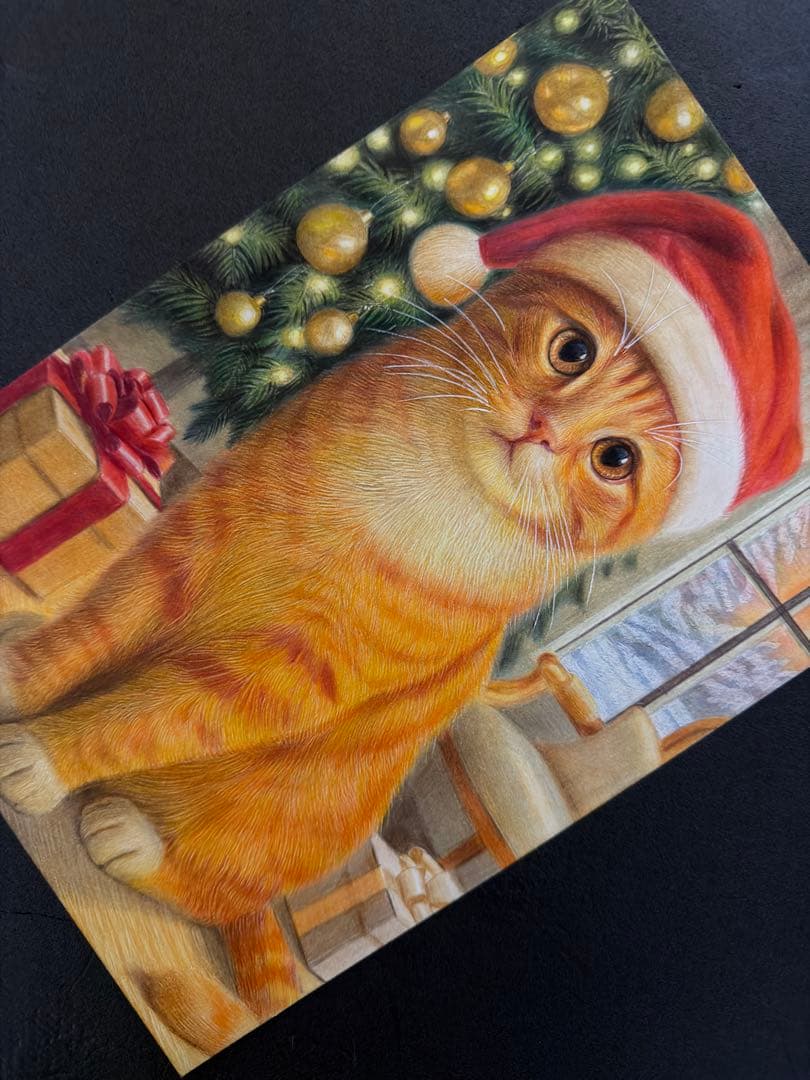 色鉛筆画A4 茶トラ.002