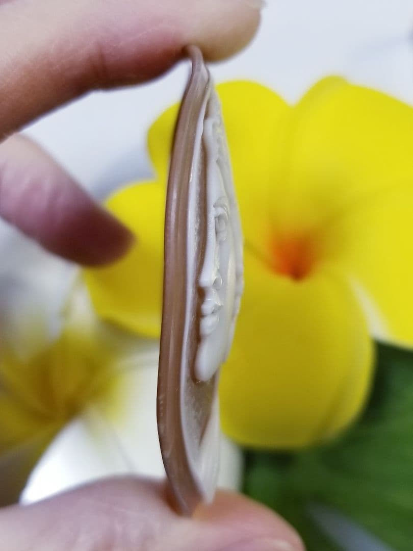 KS-212 【カルロ・パルラーティ作】天然シェルカメオルース