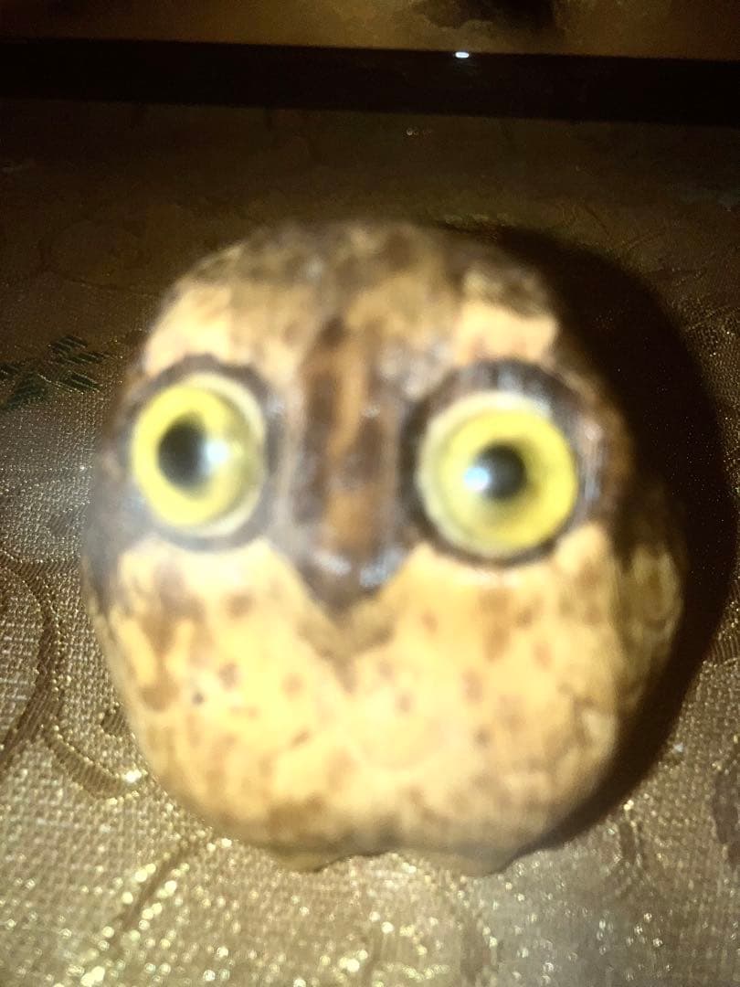 《特級呪物》呪いをかけ禍いをもたらす梟の置物　曰く付き　呪物　怪奇現象　呪怨