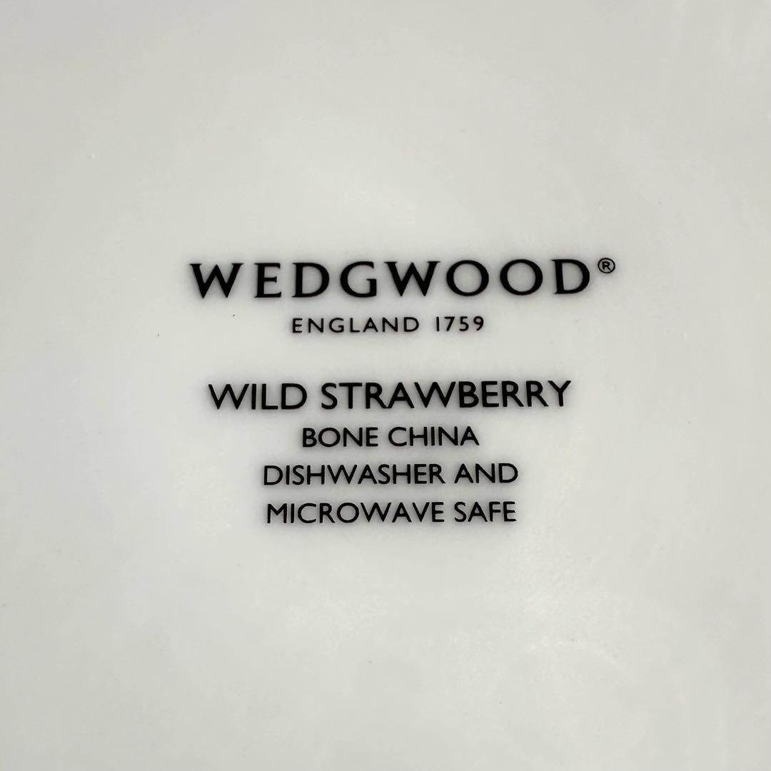 ワイルドストロベリー カジュアル ボウル 20㎝ ペア