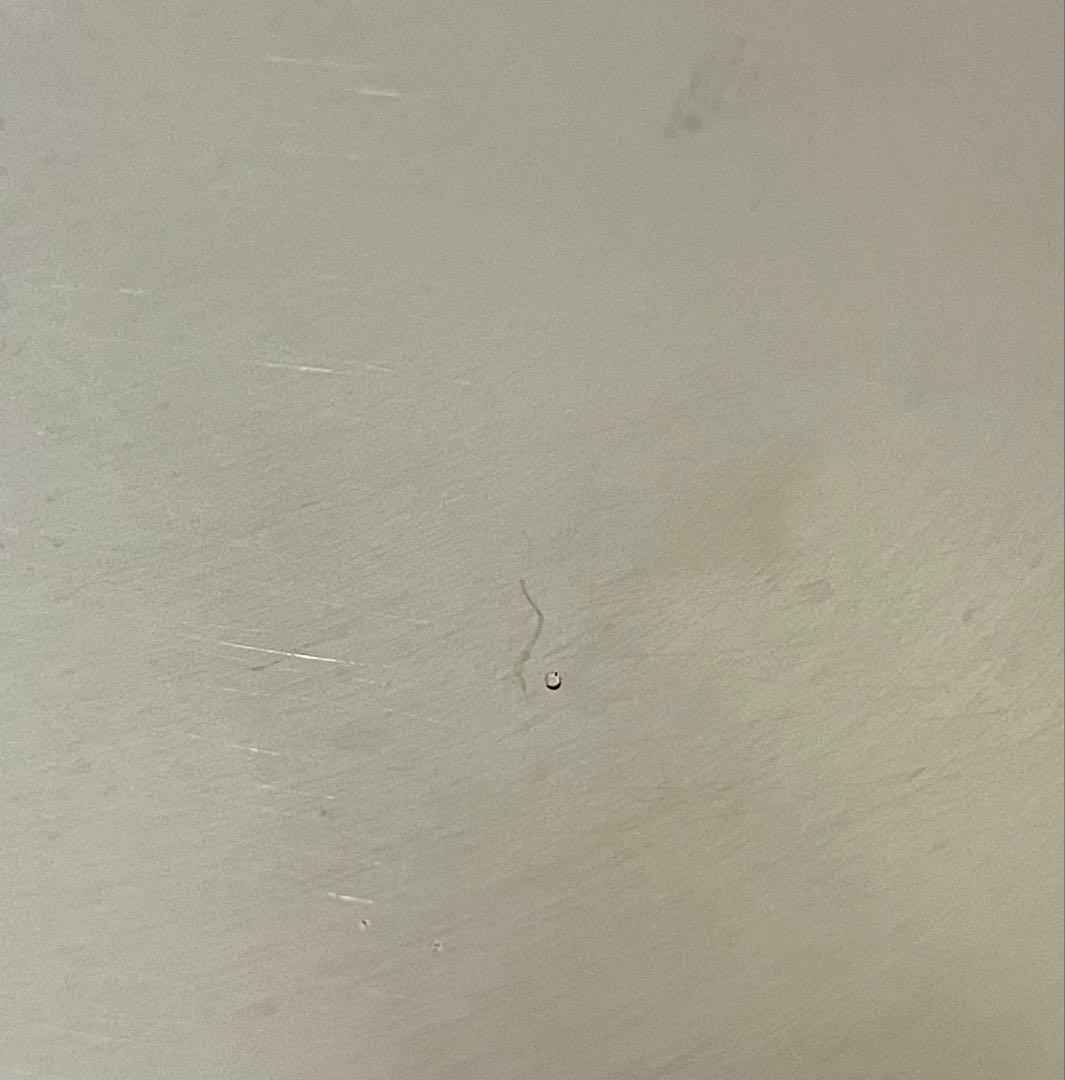 【稼動品】ロイヤルクイーン リキッドコア電気フライパン 電気鍋 蓋なし