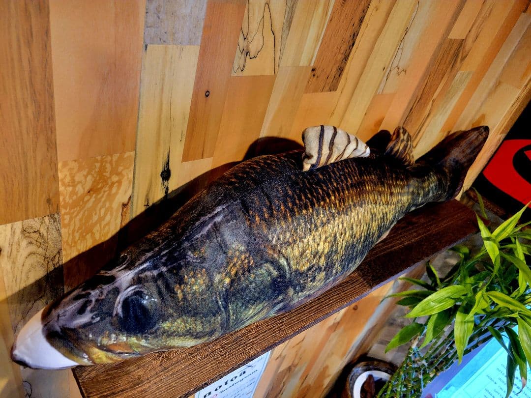 ブラックバス 約85cm リアルプリント 巨大人形 抱き枕 置物 フィギュア