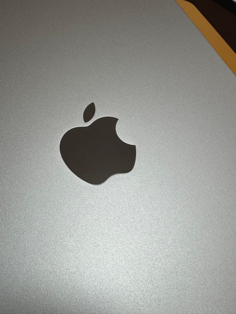 iPad mini6 cellularモデル　256GB スターライト