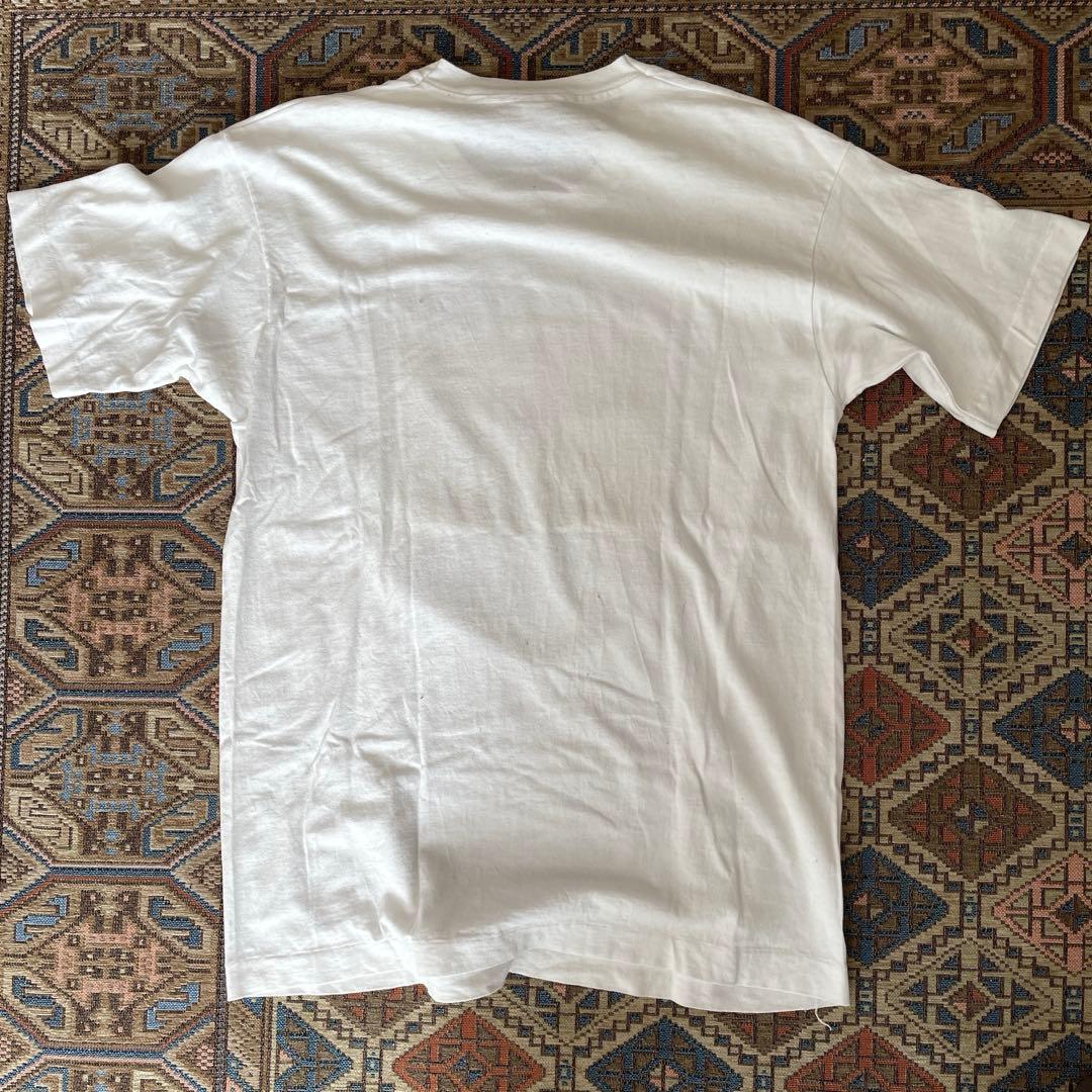 たまのニッポンろけっと旅行 Tシャツ Lサイズ FRUITOFTHELOOM