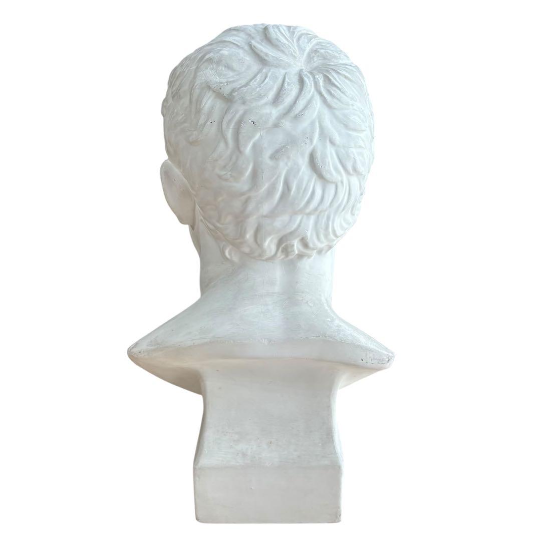 石膏像 アグリッパ 実寸サイズ 高さ59cm 美大デッサン用