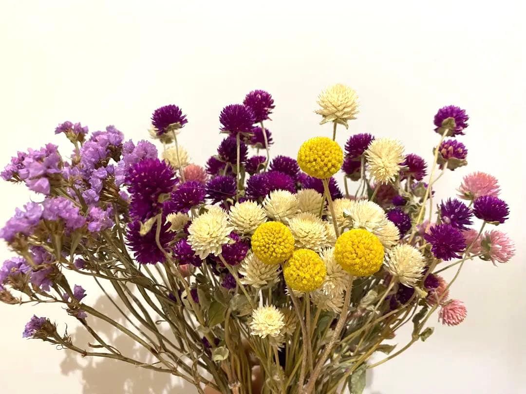 ドライフラワー　花材セット　詰め合わせ