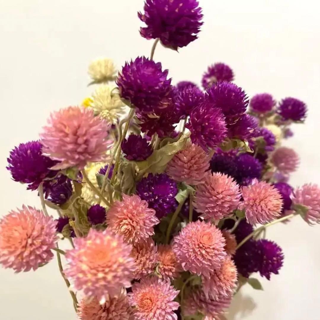 ドライフラワー　花材セット　詰め合わせ