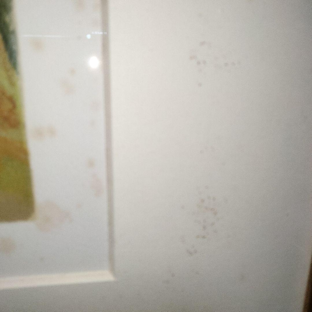 楢原健三 オリジナルリトグラフ 2題