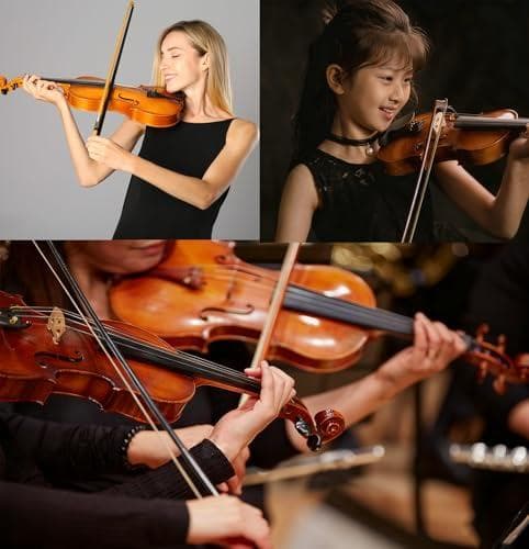 BQKOZFIN バイオリン 4/4 初心者用バイオリン ヴァイオリン 弓DXT