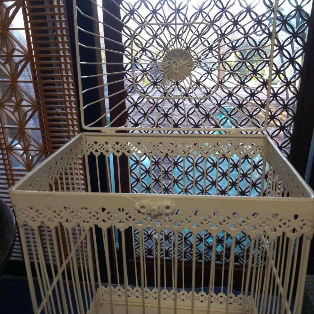 ワイヤー、鳥かご、観葉植物入れ