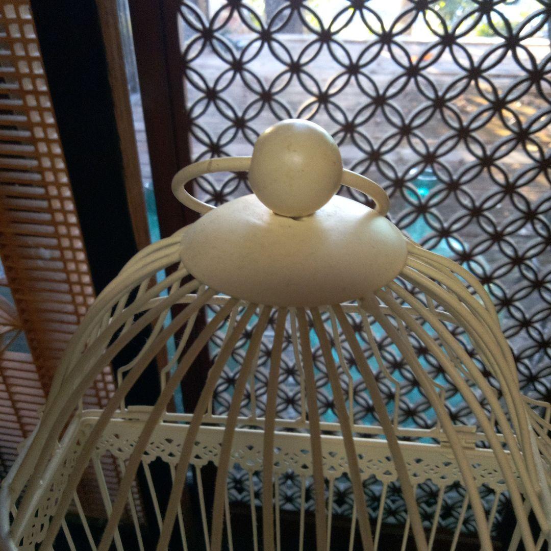 ワイヤー、鳥かご、観葉植物入れ