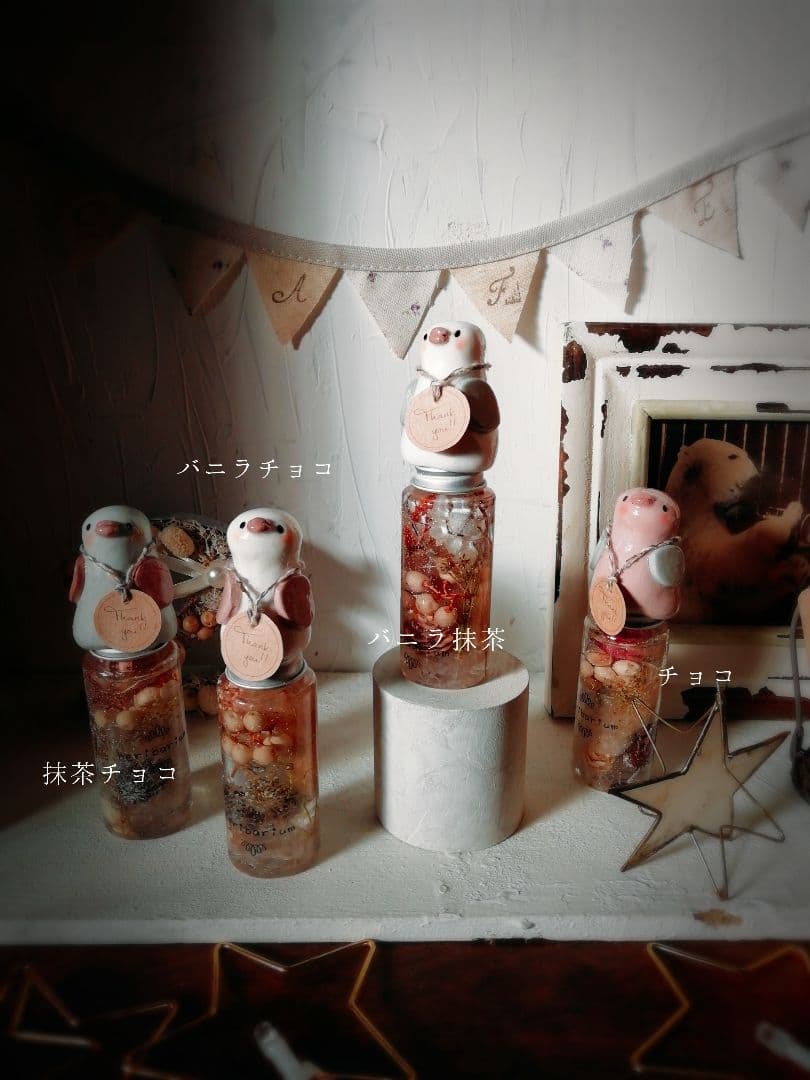 小鳥のハーバリウム♫抹茶チョコ