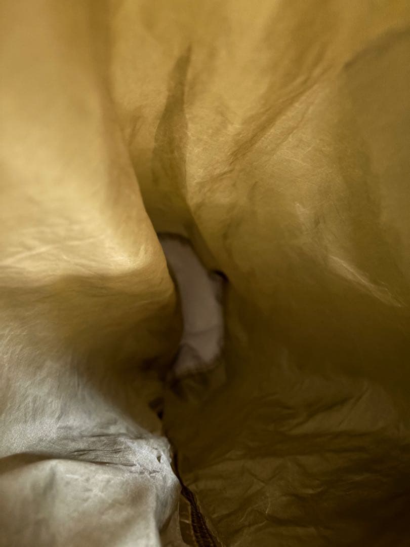 USMC ILBEバックパック Arc'teryx PROPPER USおまけ付