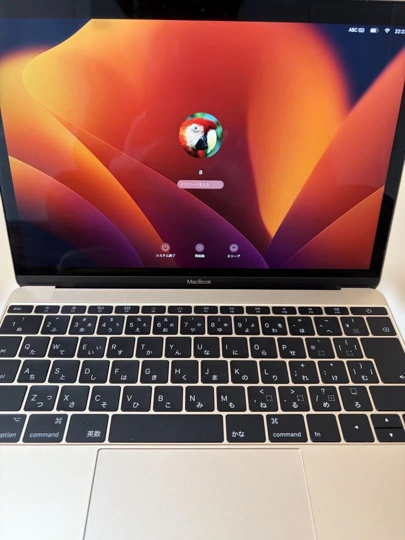 ラフテルMacBook Retina 12インチ 2017モデル　ゴールド