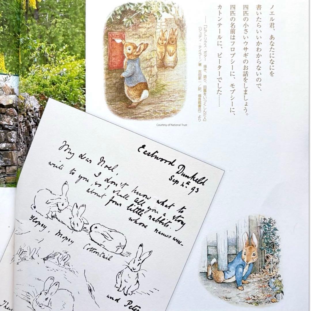ピーターラビットBoder ◆希少【Peter Rabbit Standing】