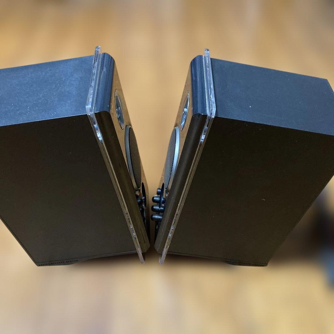 SONY SRS-ZP1000 スピーカー