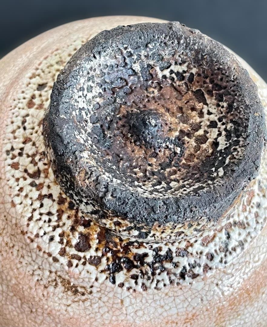 大井戸 茶碗 (検)武末日臣 辻村史朗 李朝 高麗 梅花皮 かいらぎ 竹の節高台