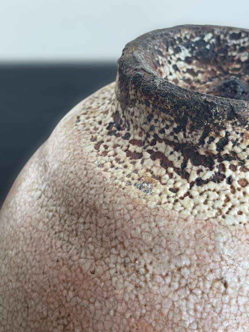 大井戸 茶碗 (検)武末日臣 辻村史朗 李朝 高麗 梅花皮 かいらぎ 竹の節高台