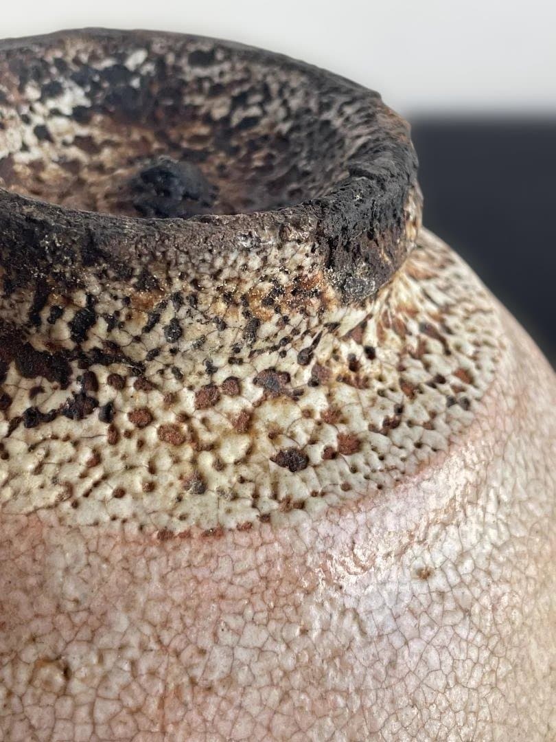 大井戸 茶碗 (検)武末日臣 辻村史朗 李朝 高麗 梅花皮 かいらぎ 竹の節高台