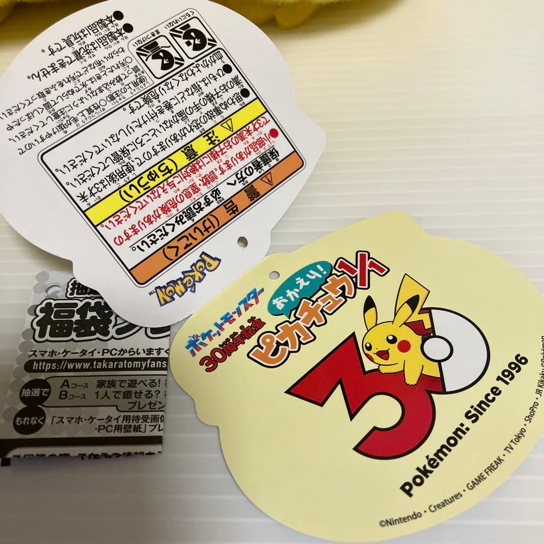 シ*♾様 おかえりピカチュウ ぬいぐるみ