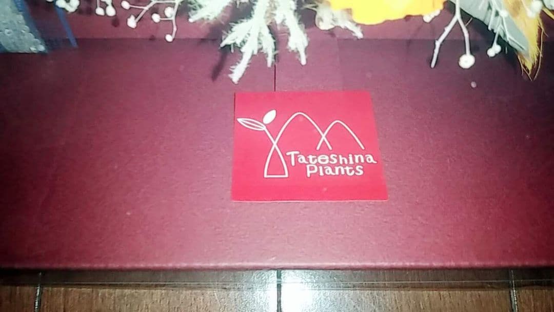 フラワー リース L