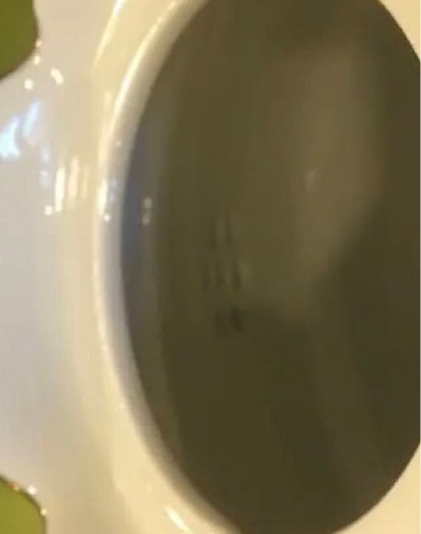 マイセン⭐️真夏の夜の夢ポット1.15L