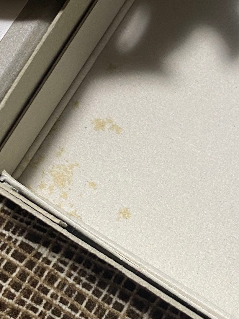 comme des garcons コムデギャルソン アクセサリーarchive