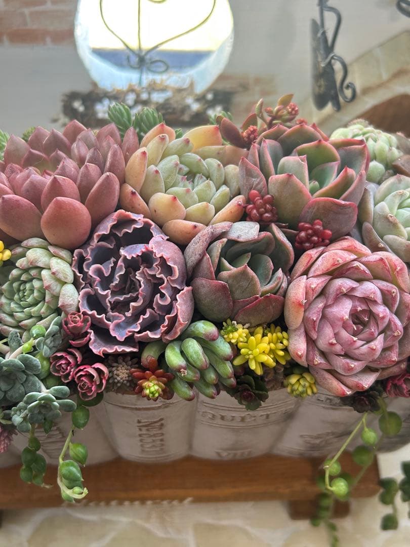 t*i様 ・:*多肉植物そのまま飾れる・:*洋書ブックプランターアイボリー大きめ