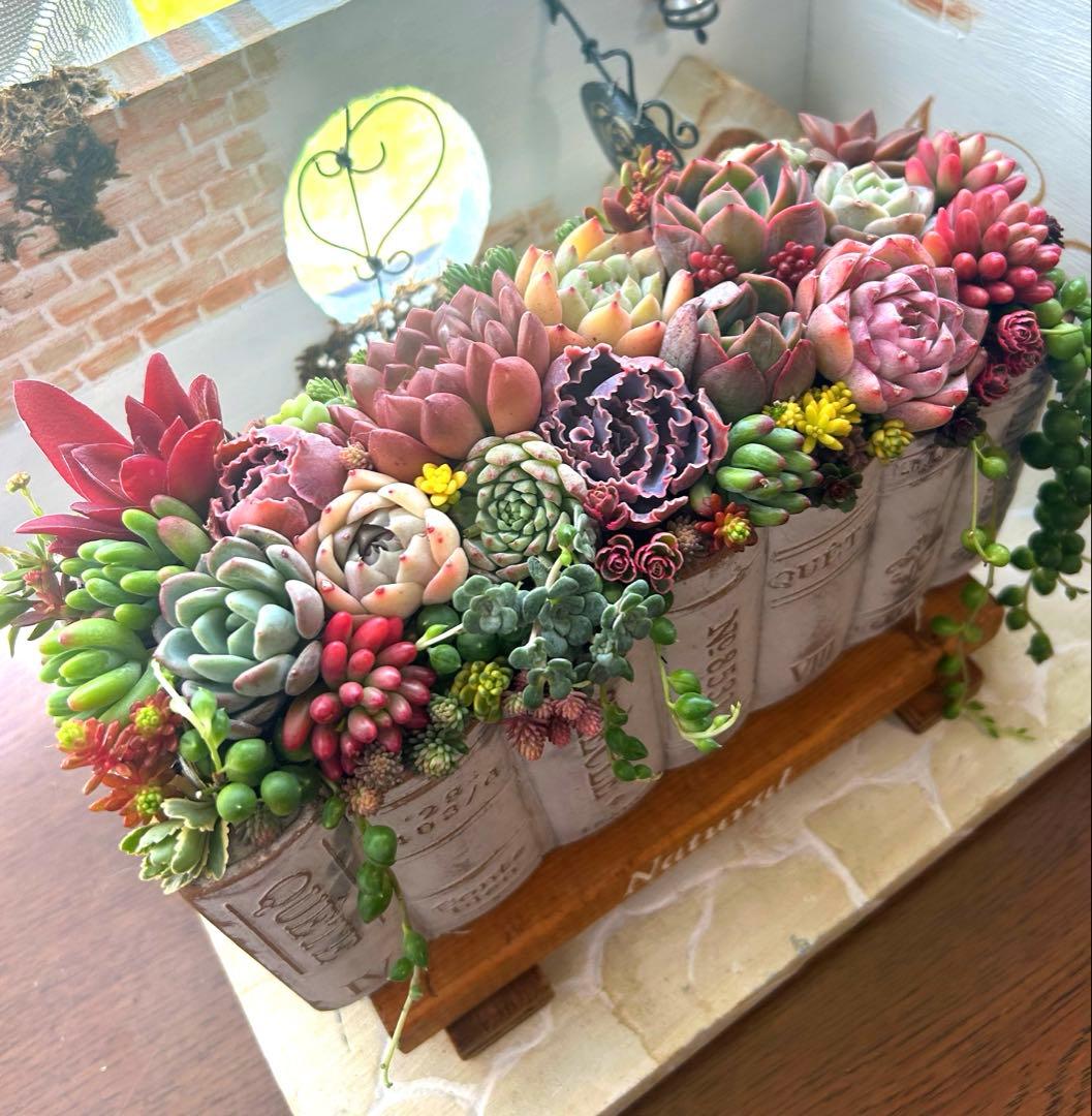 t*i様 ・:*多肉植物そのまま飾れる・:*洋書ブックプランターアイボリー大きめ