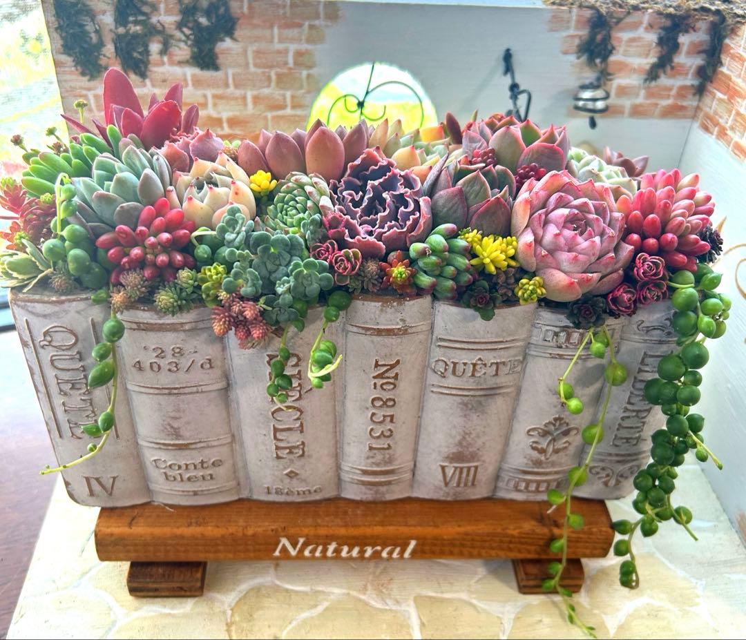t*i様 ・:*多肉植物そのまま飾れる・:*洋書ブックプランターアイボリー大きめ