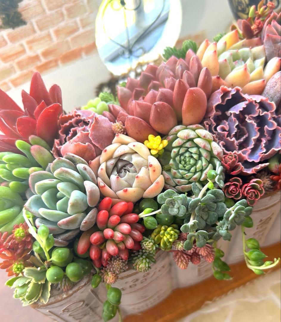 t*i様 ・:*多肉植物そのまま飾れる・:*洋書ブックプランターアイボリー大きめ