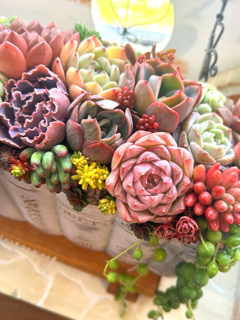 t*i様 ・:*多肉植物そのまま飾れる・:*洋書ブックプランターアイボリー大きめ