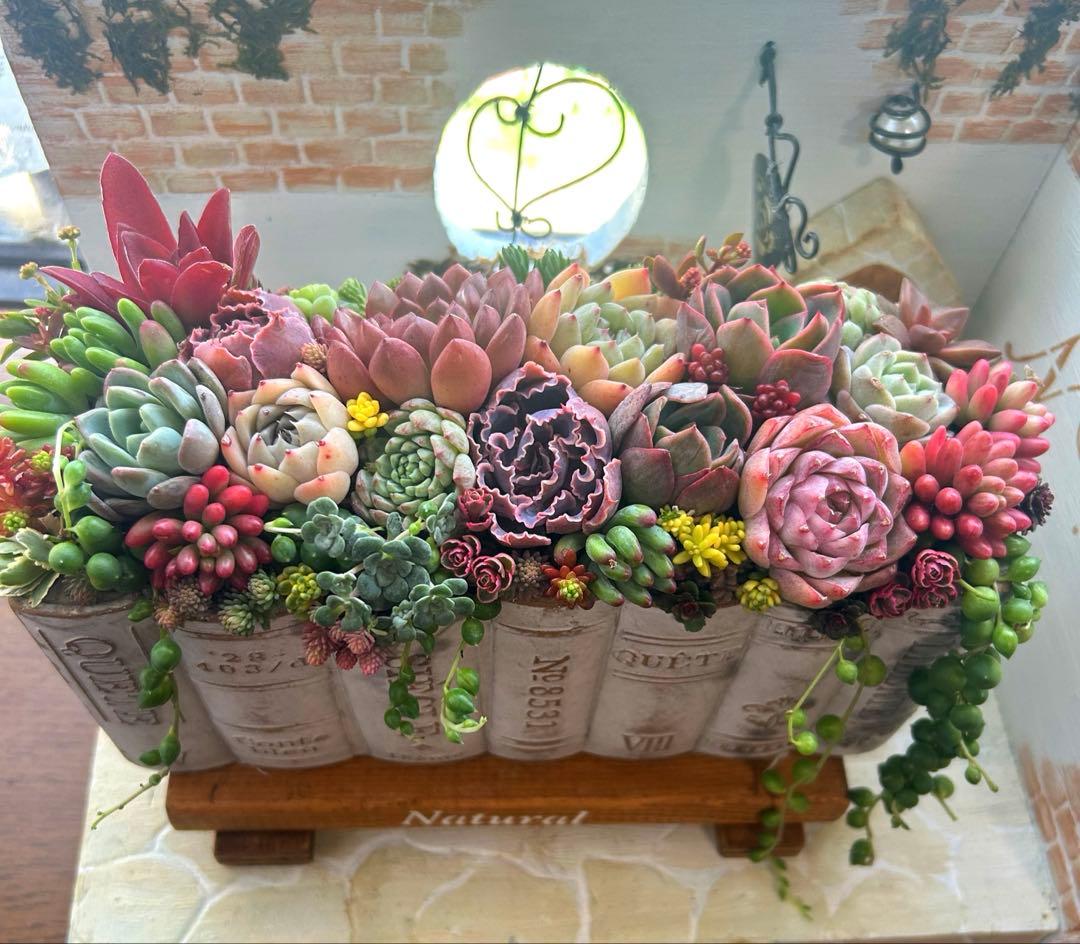 t*i様 ・:*多肉植物そのまま飾れる・:*洋書ブックプランターアイボリー大きめ