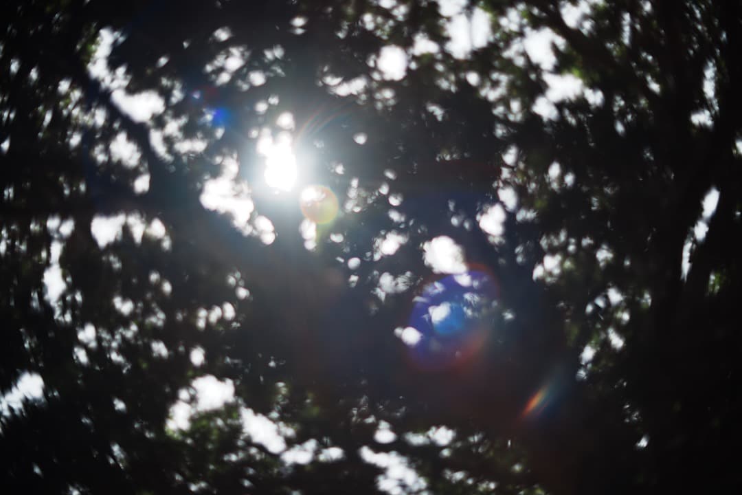 【美品】動作◎ オリンパス G.Zuiko auto 50mm F1.4 706