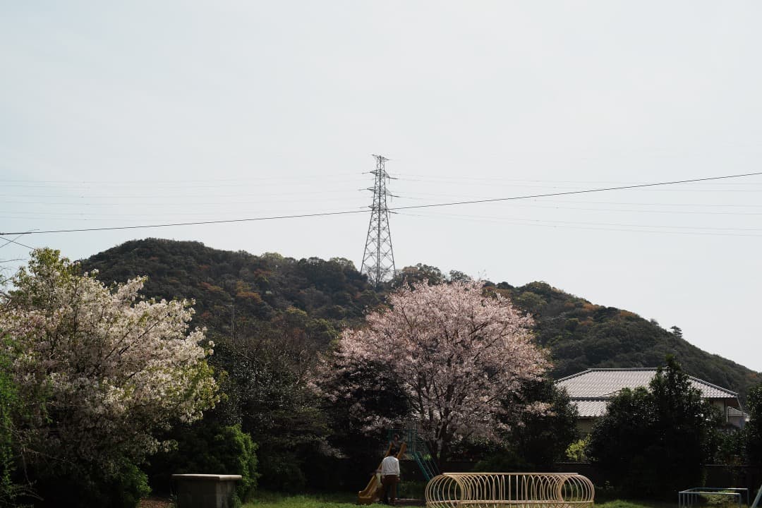 【美品】動作◎ オリンパス G.Zuiko auto 50mm F1.4 706