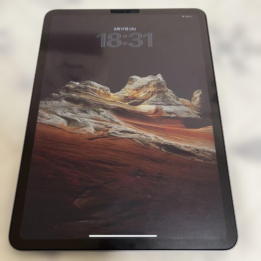 11インチ iPad Pro 第2世代 +Apple Pencil、充電器