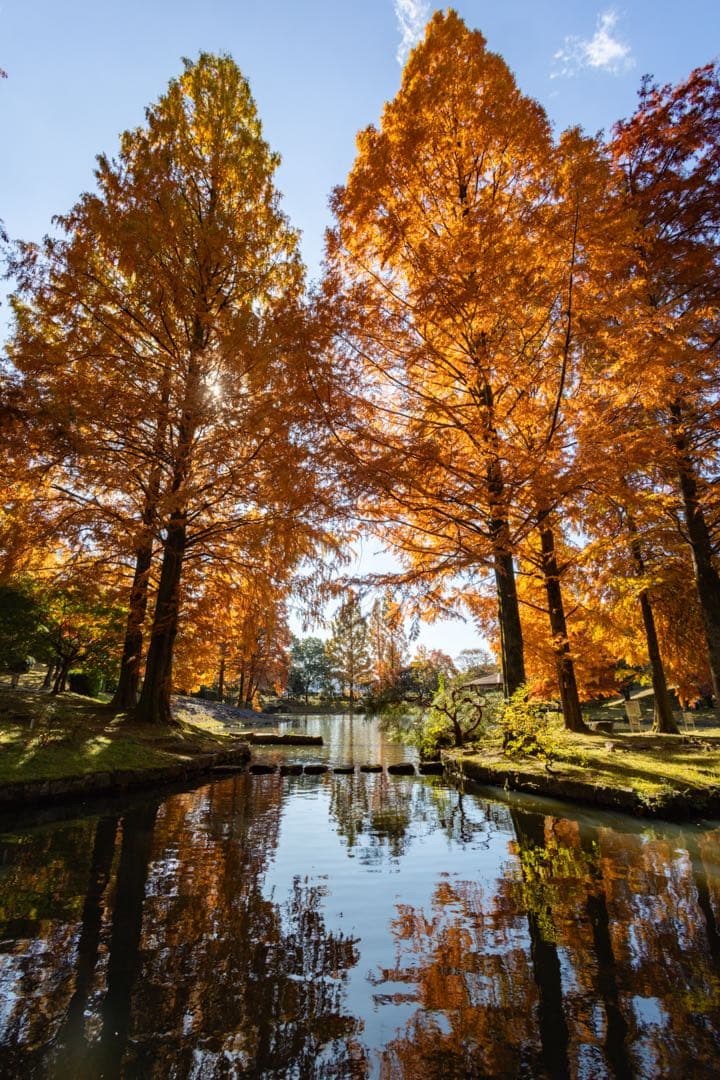 Canon EOS 80D デジタル一眼レフ レンズ付き