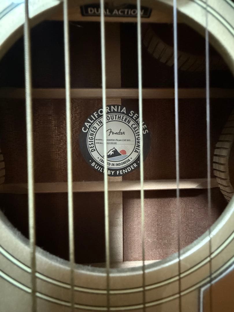 エレアコ アコギFender Newporter Player シャンパンカラー
