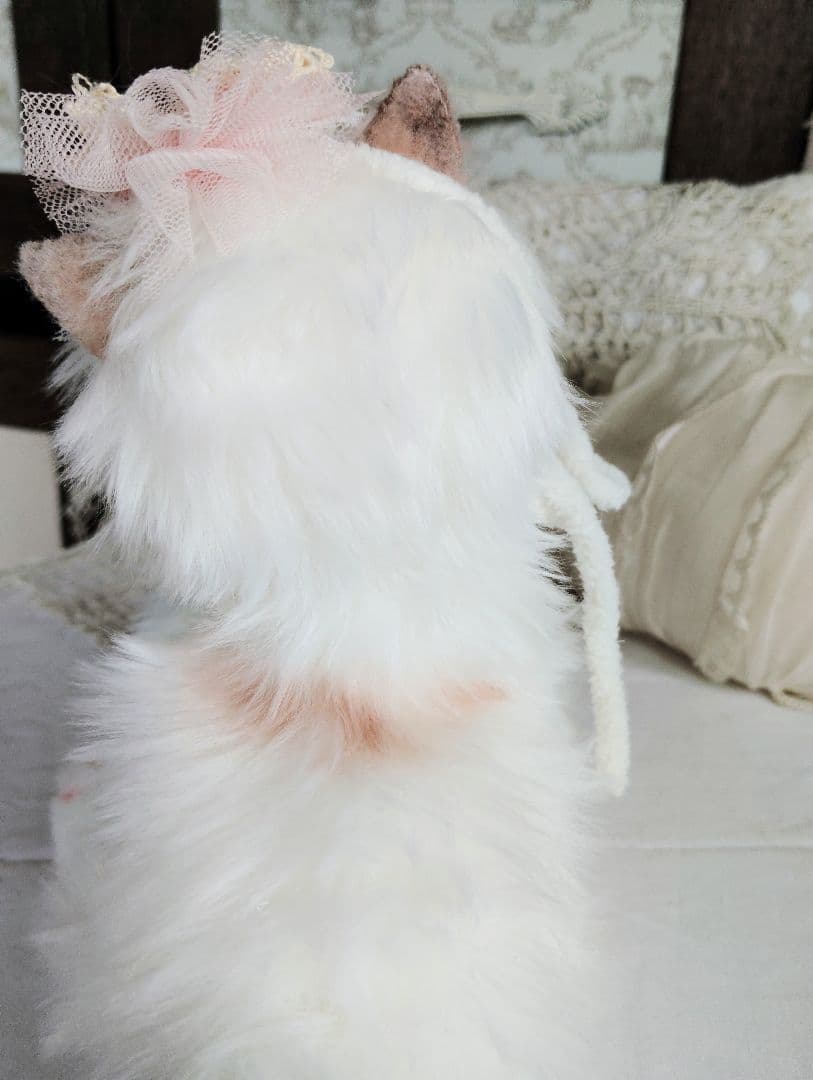 生後１か月♡元気いっぱい♡可愛い子猫ちゃん♡アートドール♡ぬいぐるみ♡