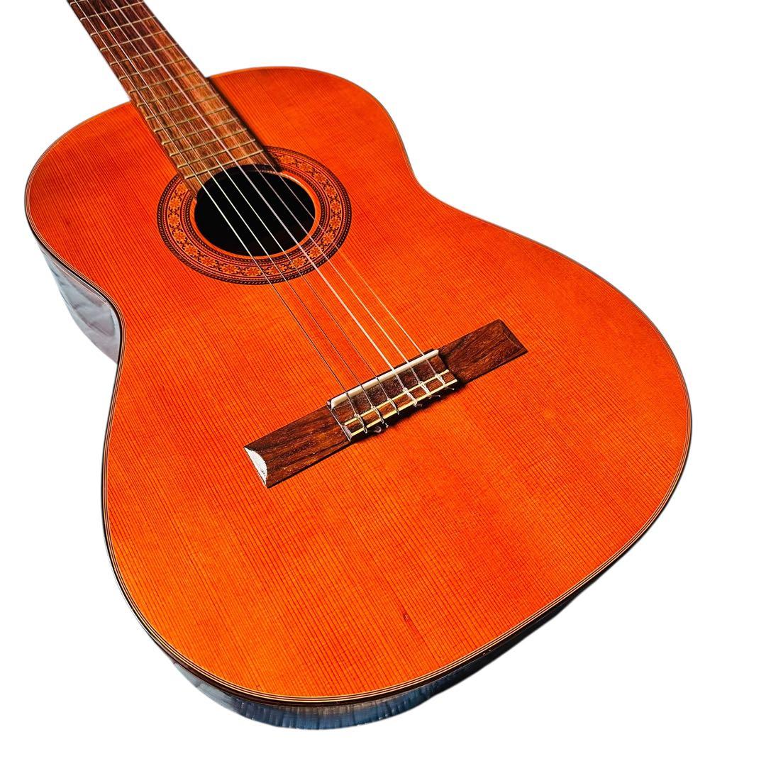 FERNANDES フェルナンデス　アコースティックギター　CC-15