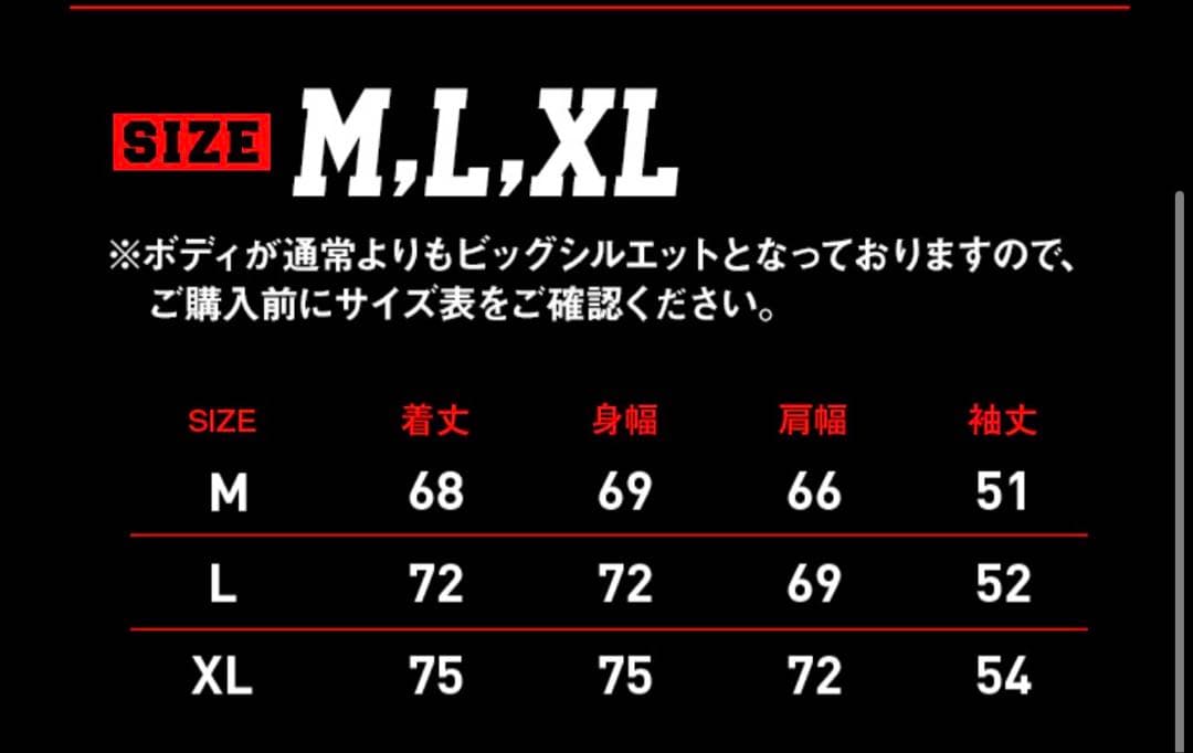 ハーコー風ホルモンスウェット Lサイズ ash grey edition