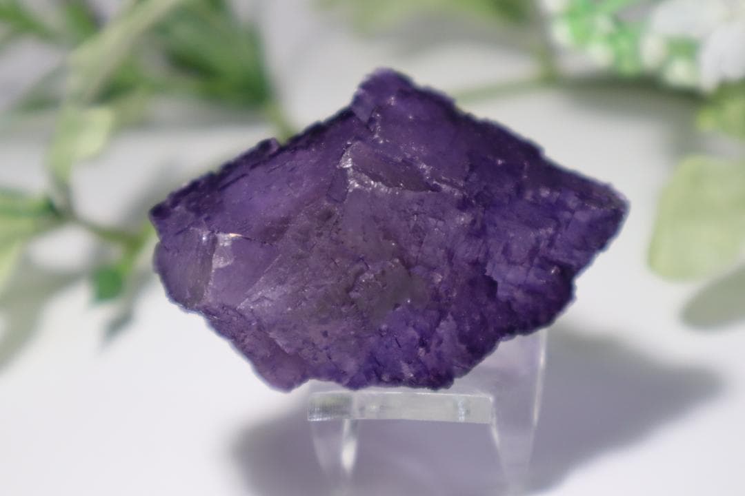 フローライト【テネシー州・エルムウッド】60ｇ