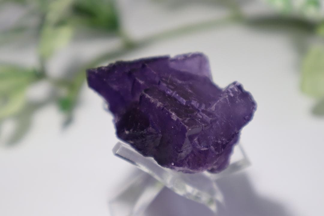 フローライト【テネシー州・エルムウッド】60ｇ