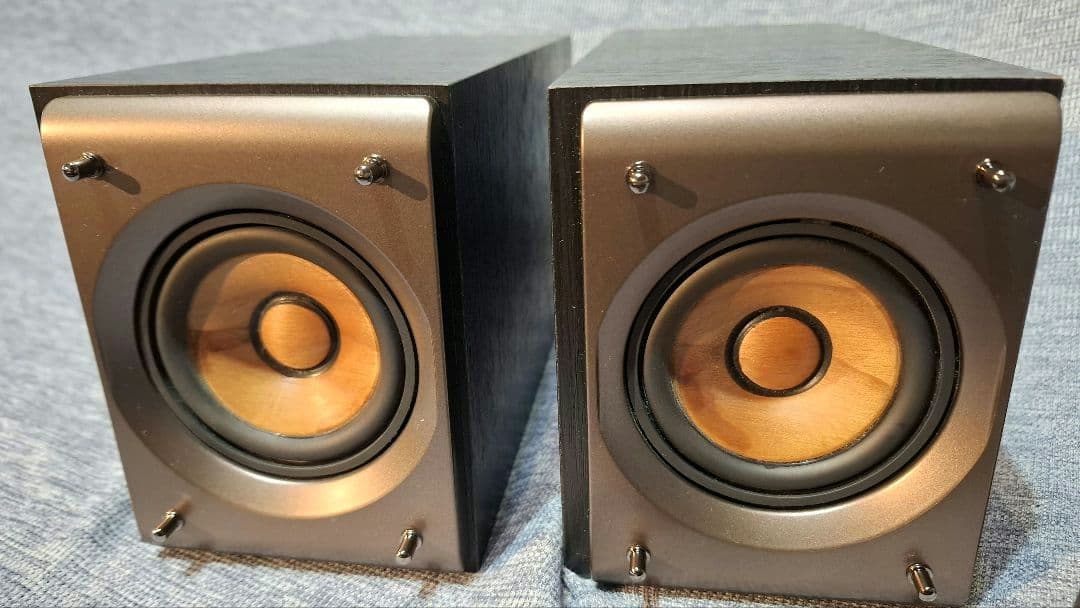 JVCケンウッド ウッドコーンスピーカー SP-EXS5